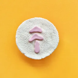 Set de cortadores arcilla polimérica: hojas otoñales - Lylo Tools