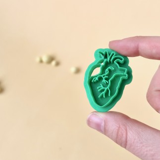 Cortador arcilla polimérica: corazón anatómico - Lylo Tools