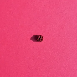 Cortador para arcilla polimérica - jazmín