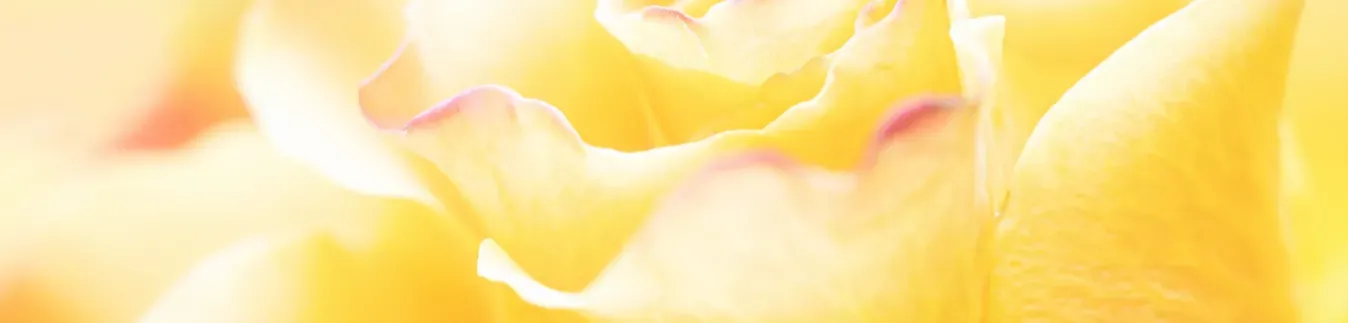 Fornituras para pendientes - Lylo Tools