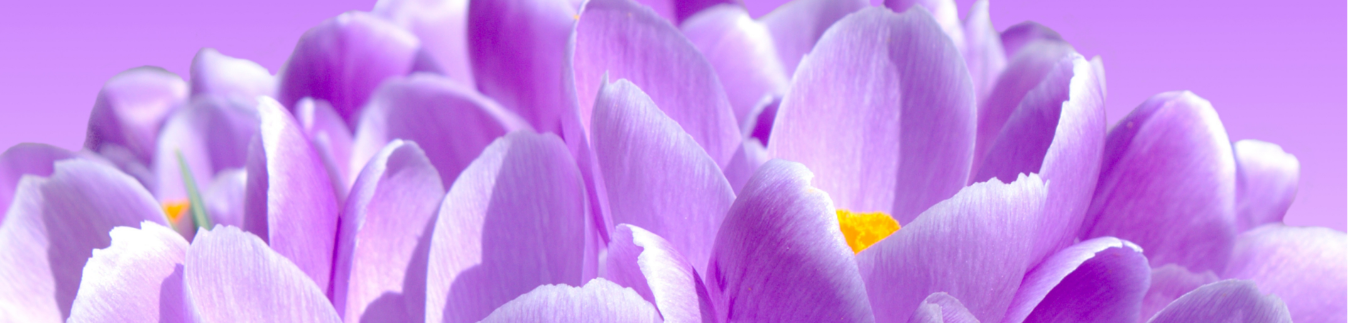 Cortadores para arcilla polimérica estilo macramé - Lylo Tools