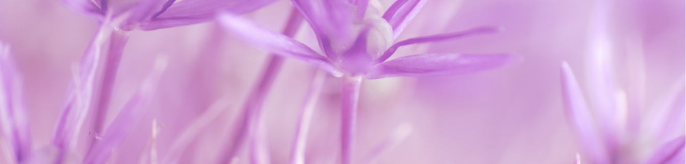 Cortadores con formas orgánicas - Lylo Tools