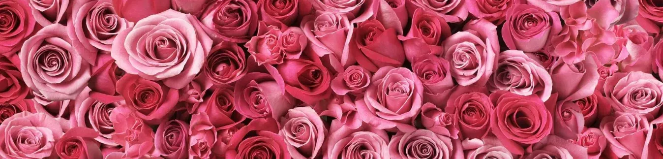 Arcilla polimerica Cernit efectos naturaleza | Amplia gama - Lylo Tools